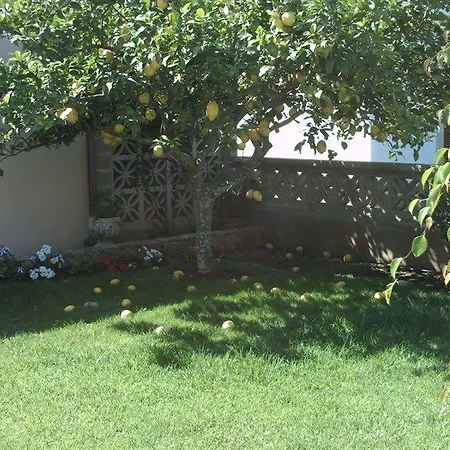 Jardin Del Oro Appartement Cala Millor (Mallorca)
